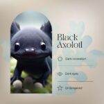 The Mysterious Black Axolotl: A Look at the Melanoid Variety