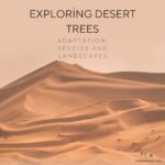 Exploring Desert Trees: Adaptations, Species, and Landscapes