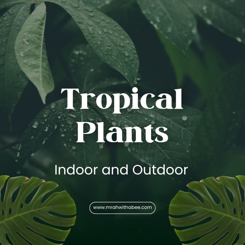 Tropical plants