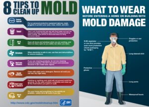 Mold protection