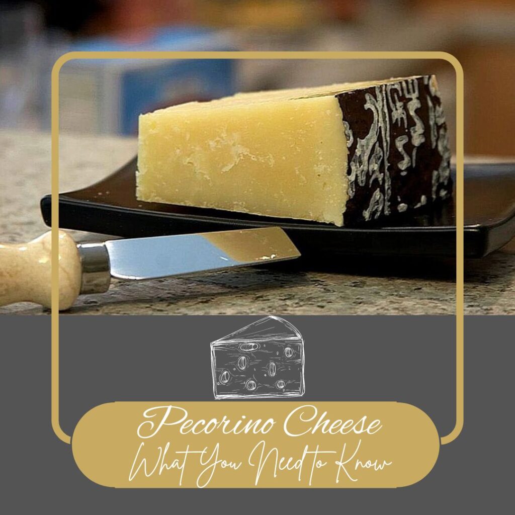 Exploring Pecorino Romano Cheese: What You Need to Know